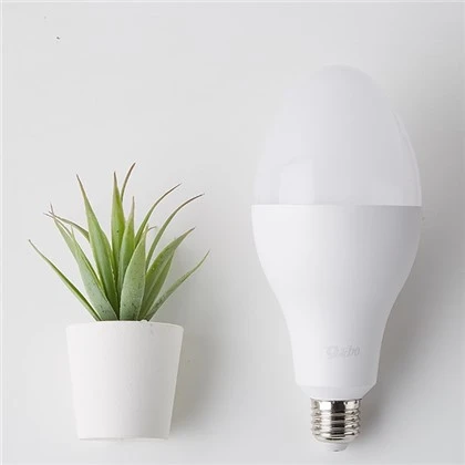 OEM 10 Vt LED regbi lampochkasi